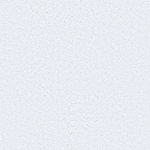 orby_nylon_broadloom_patterson-flynn-martin_pfm