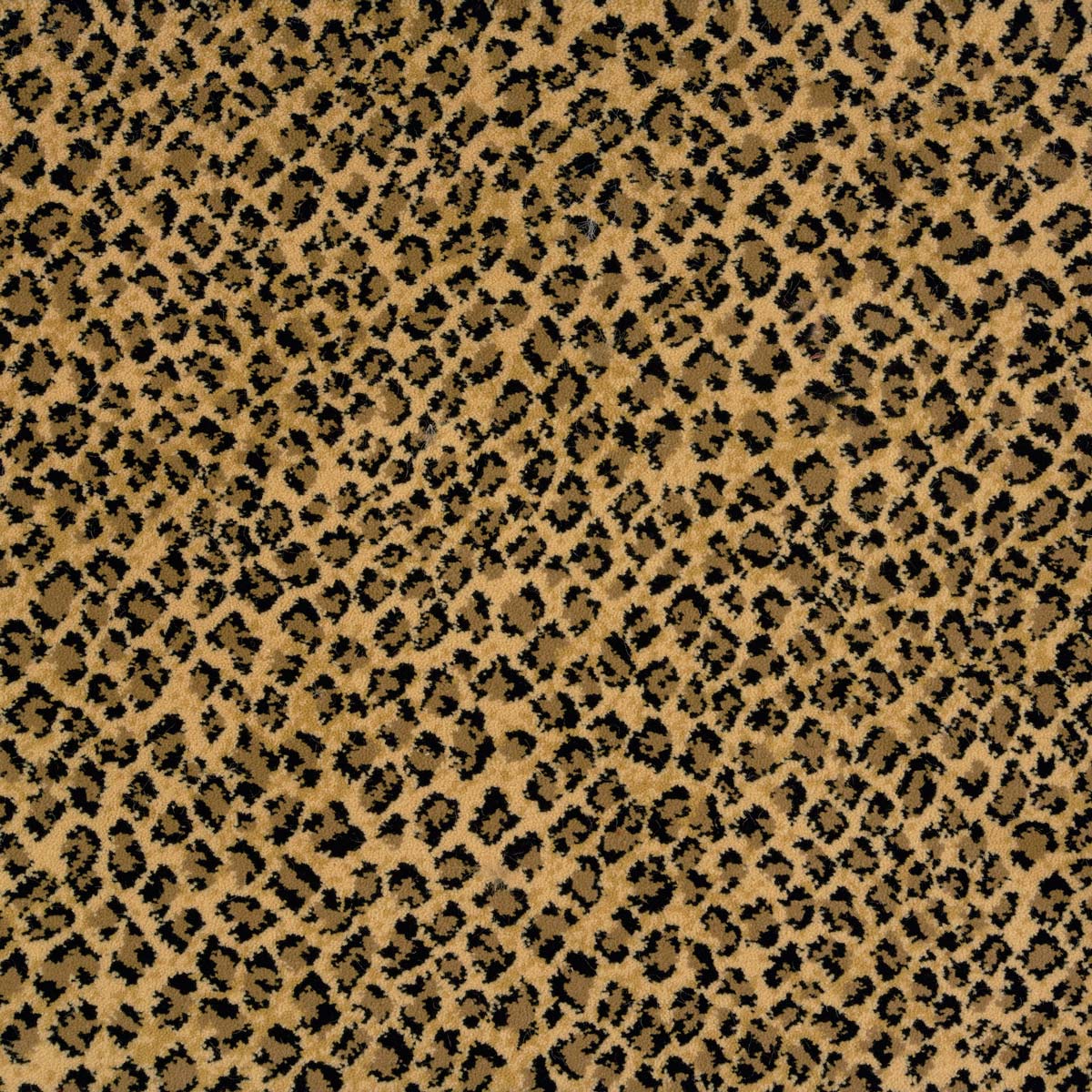 safaric_polypropylene_broadloom_patterson-flynn-martin_pfm