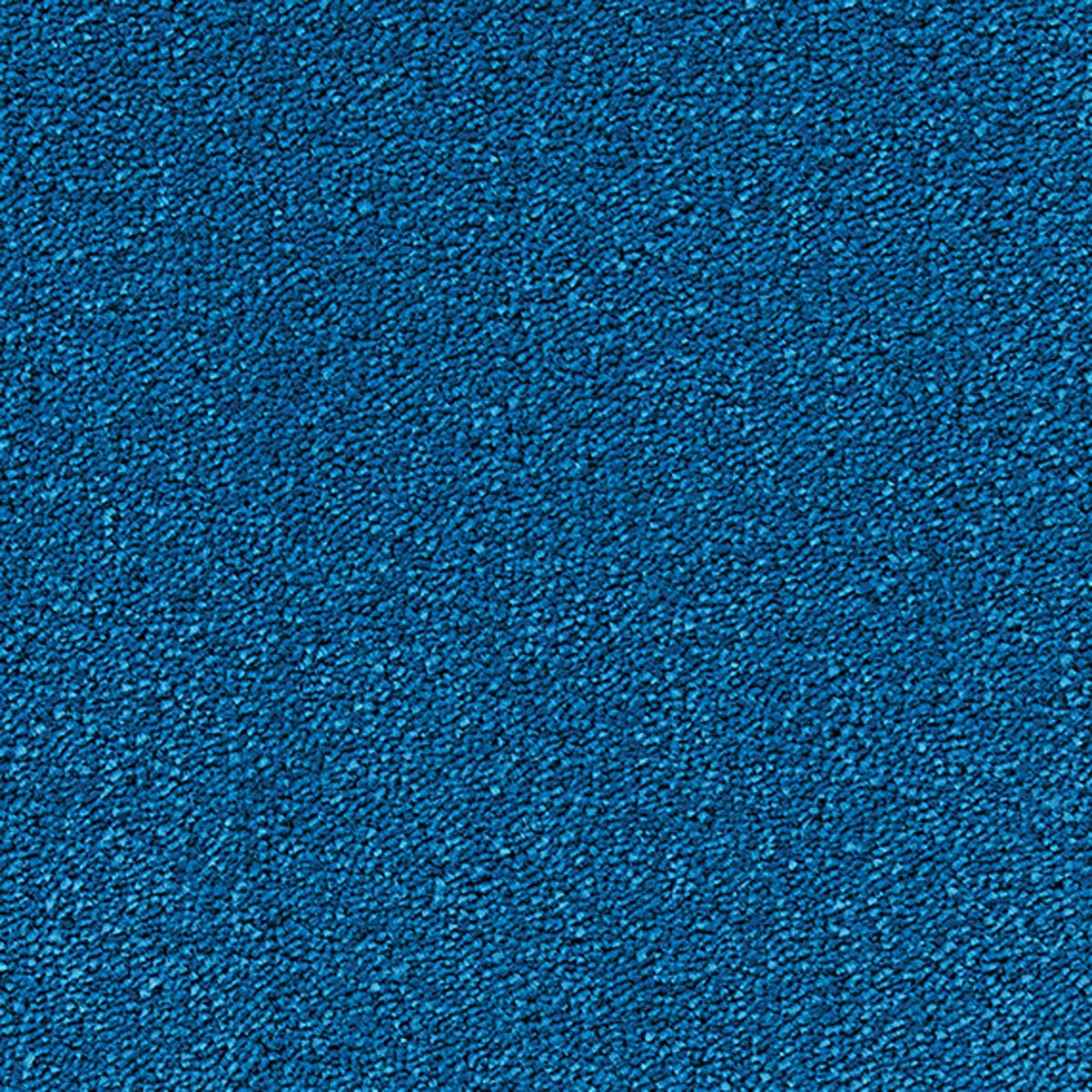 orby_nylon_broadloom_patterson-flynn-martin_pfm