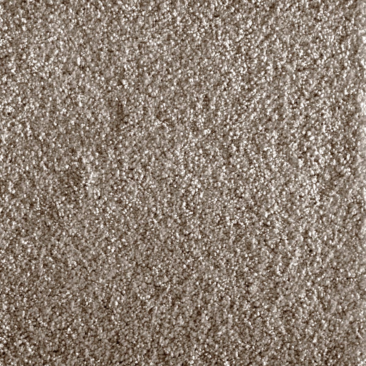 jazlyn_nylon_broadloom_patterson-flynn-martin_pfm