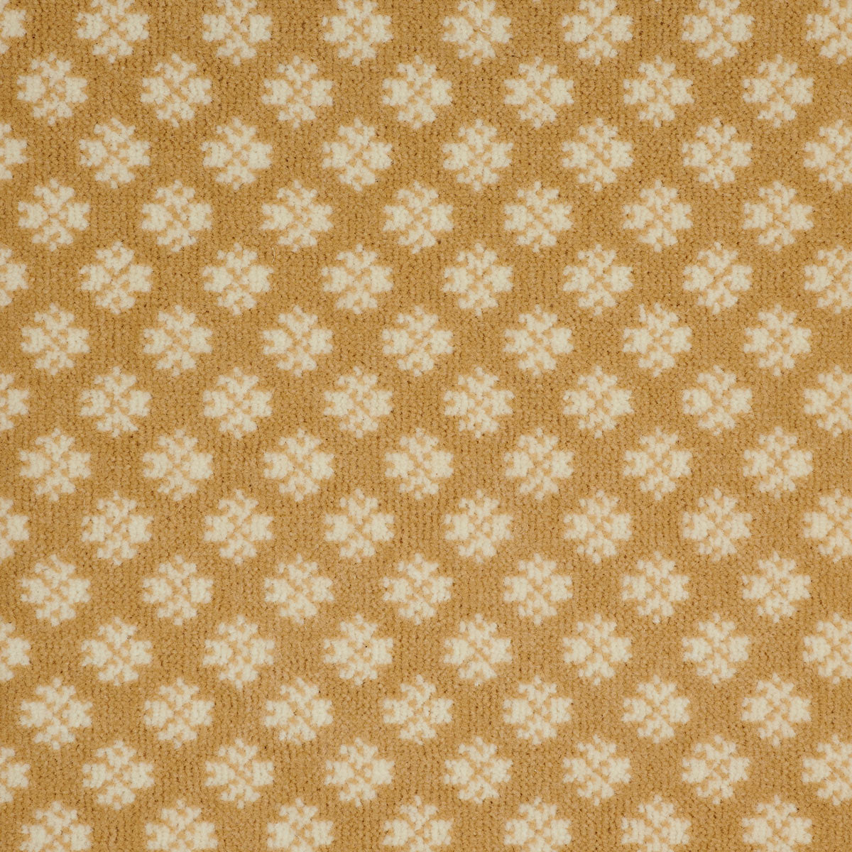 wonderland-dreams_wool_broadloom_patterson-flynn-martin_pfm