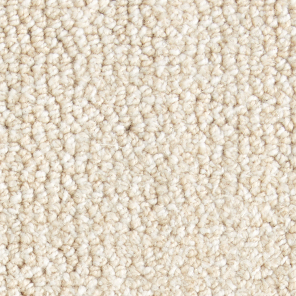 ronald_polysilk_broadloom_patterson-flynn-martin_pfm