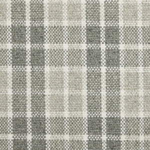 Visually Plaid