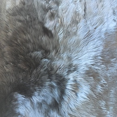Alpaca