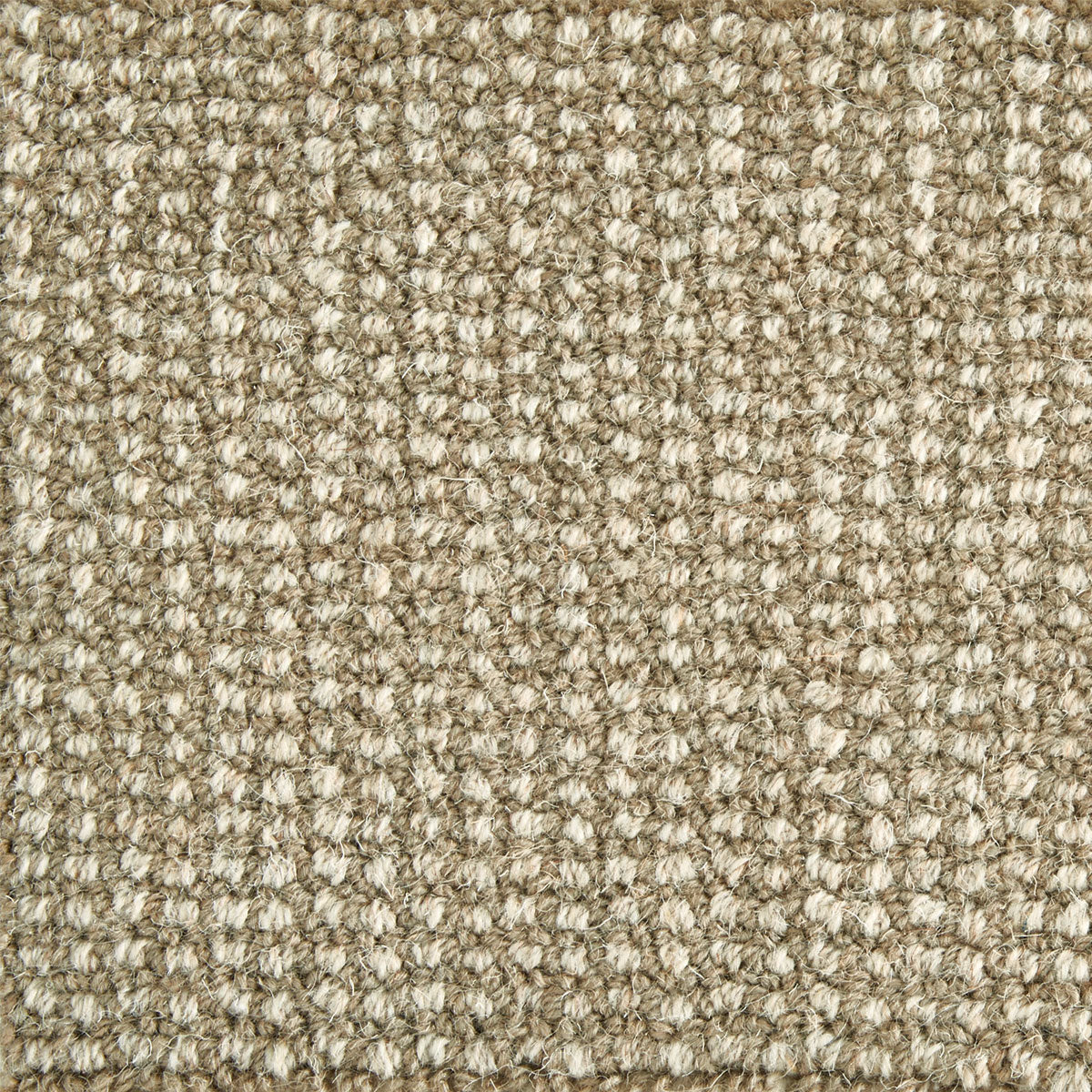 sanchez_wool-polysilk_broadloom_patterson-flynn-martin_pfm