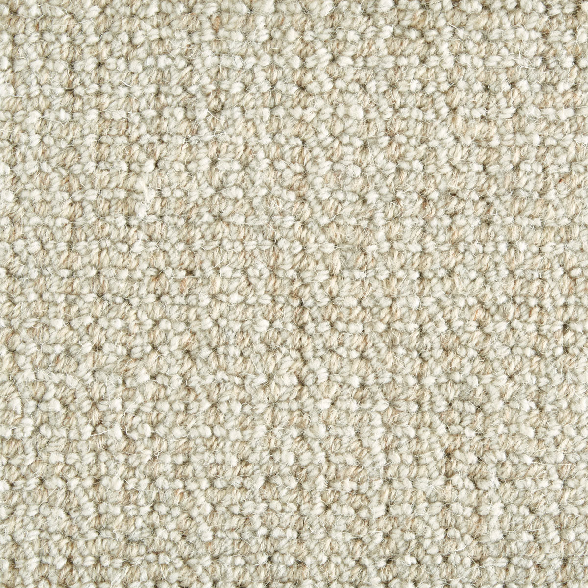 sanchez_wool-polysilk_broadloom_patterson-flynn-martin_pfm