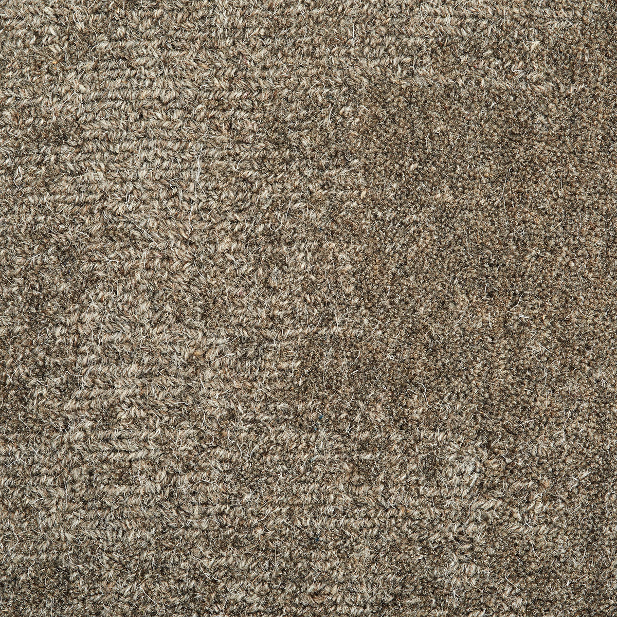 pentode_wool_broadloom_patterson-flynn-martin_pfm