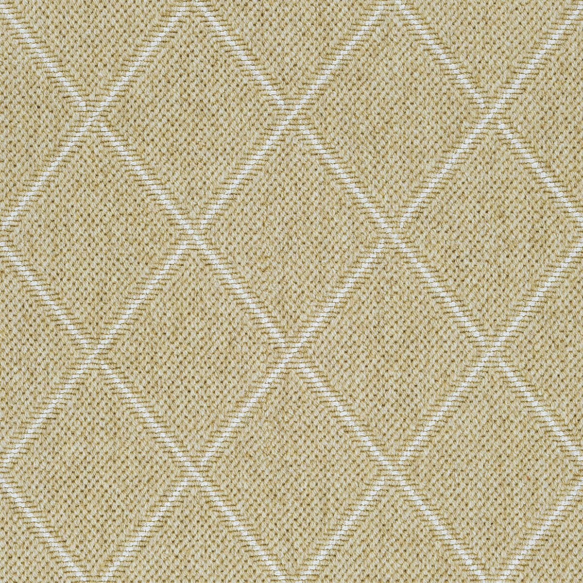 dandy-lattice_wool-nylon_broadloom_patterson-flynn-martin_pfm