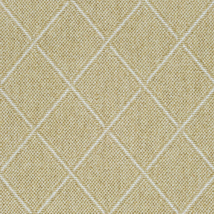 dandy-lattice_wool-nylon_broadloom_patterson-flynn-martin_pfm